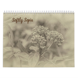 Weicher Sepia-Kalender Kalender