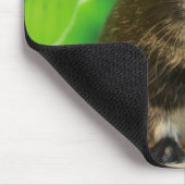 Weicher Silberfuchs Guinea Pig Mousepad (Ecke)