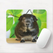 Weicher Silberfuchs Guinea Pig Mousepad (Mit Mouse)