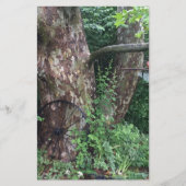 Weicher Sommerregen Briefpapier (Vorderseite)