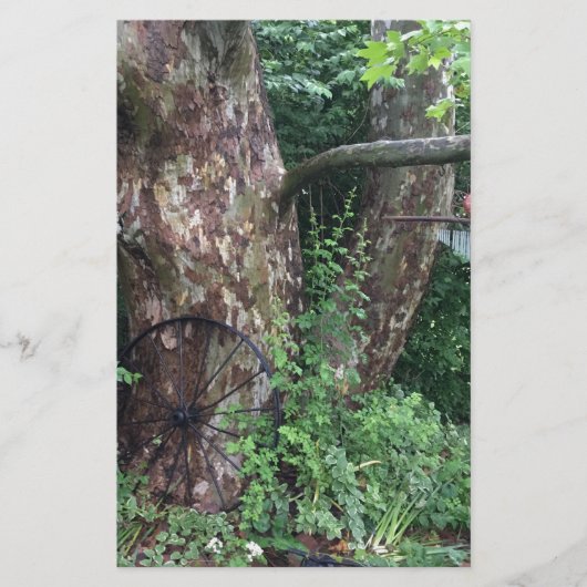 Weicher Sommerregen Briefpapier (Vorderseite)