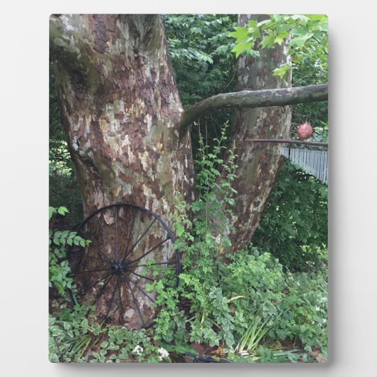 Weicher Sommerregen Fotoplatte (Vorderseite)