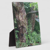 Weicher Sommerregen Fotoplatte (Seite)