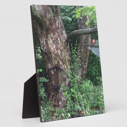 Weicher Sommerregen Fotoplatte (Seite)