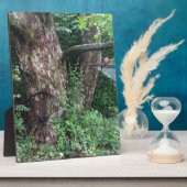 Weicher Sommerregen Fotoplatte (Seite)