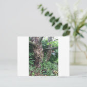 Weicher Sommerregen Postkarte (Stehend Vorderseite)