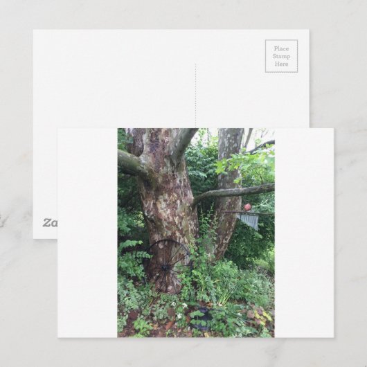 Weicher Sommerregen Postkarte (Vorne/Hinten)