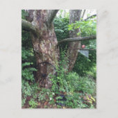 Weicher Sommerregen Postkarte (Vorderseite)