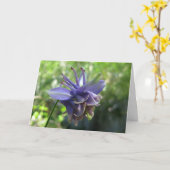 Weiches blaues Columbine Karte (Gelbe Blume)