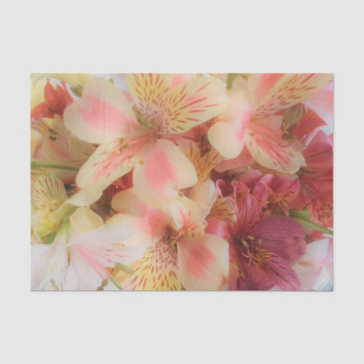 Weiches Blumen Seidenpapier (Vorderseite)