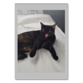 Weiches Fell, Katze, adjektive Lesekarten Tischnummer (Vorderseite)