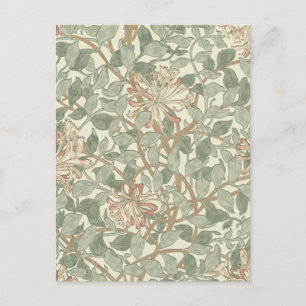 Weiches grünes Vintage-William-Morris-Geißblatt Postkarte