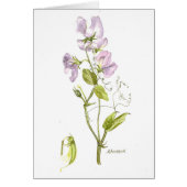 Weiches lila Peak Wasserfarbe (Vorne)