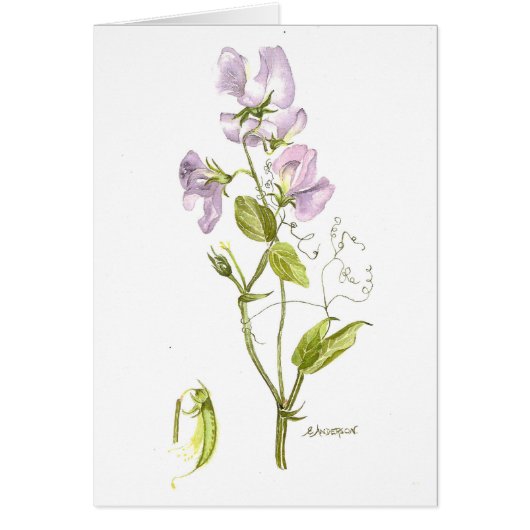 Weiches lila Peak Wasserfarbe (Vorne)