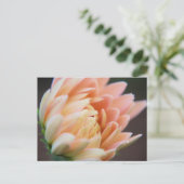 Weiches Postcard Postkarte (Stehend Vorderseite)