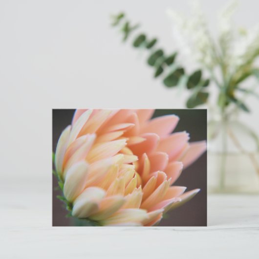 Weiches Postcard Postkarte (Stehend Vorderseite)