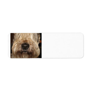 weiches überzogenes wheaton terrier.png
