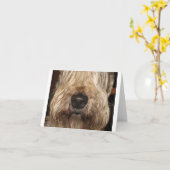 weiches überzogenes wheaton terrier.png karte (Gelbe Blume)