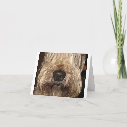 weiches überzogenes wheaton terrier.png karte (Vorderseite)