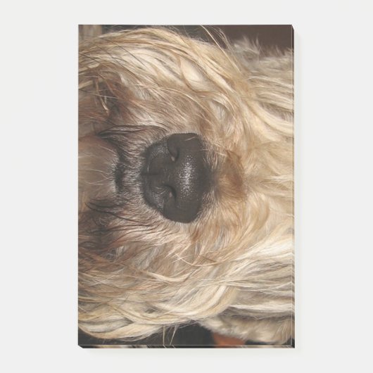 weiches überzogenes wheaton terrier.png post-it klebezettel (Vorderseite)