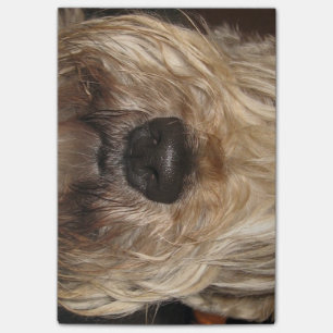 weiches überzogenes wheaton terrier.png post-it klebezettel