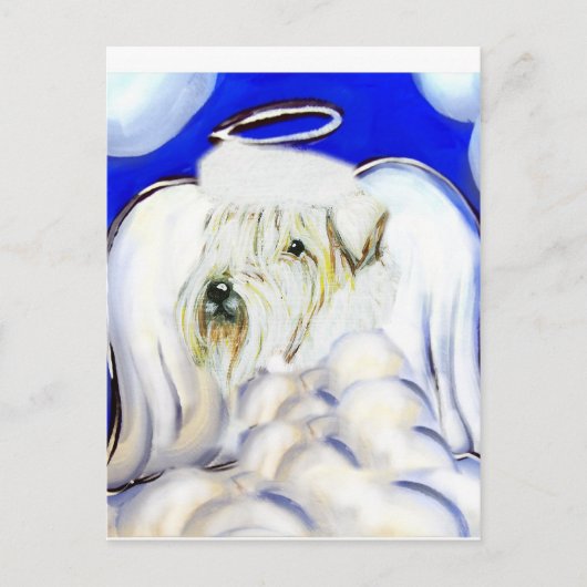 Weiches Wetter Postkarte (Vorderseite)