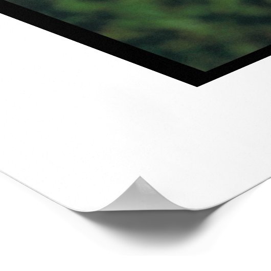 Weiches Wheaten Terrier Poster (Ecke)