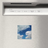 Weichflecken Magnet (In Situ (Geschirrspüler))