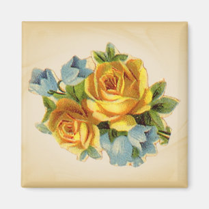 Weichgelbe Rosenmagnete Magnet