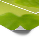 Weichgrüner Sommer Poster (Ecke)