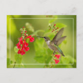 Weichgrüner Sommer Postkarte (Vorderseite)