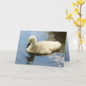 Weichheit eines Kindes Karte (Gelbe Blume)