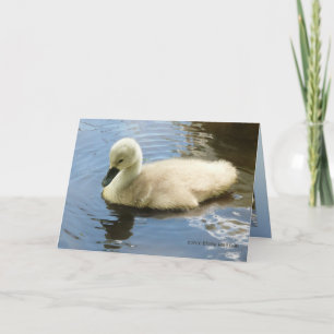 Weichheit eines Kindes Karte