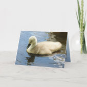 Weichheit eines Kindes Karte (Vorderseite)