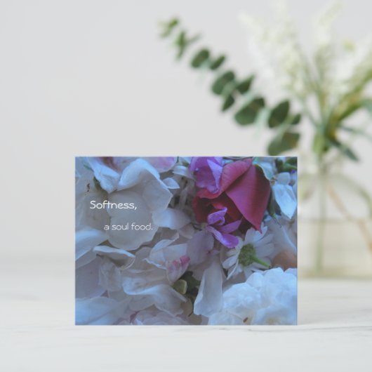 Weichheit, Soul-Essen, Postkarte (Stehend Vorderseite)