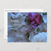 Weichheit, Soul-Essen, Postkarte (Vorne/Hinten)