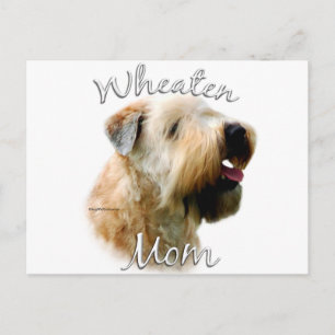 Weichkalotte Mama 2 Postkarte