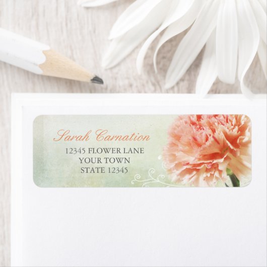 Weichrosa Carnation (Insitu)