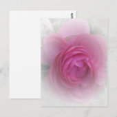 Weichrosa Postkarte (Vorne/Hinten)
