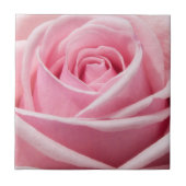 Weichrosa Rose Fliese (Vorderseite)