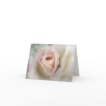 Weichrosa Rose Grußkarte