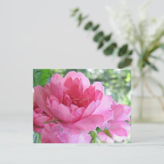 Weichrosa Rose Postkarte (Stehend Vorderseite)