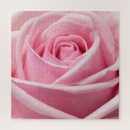 Weichrosa Rose Puzzle (Vertikal)
