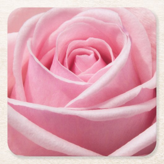 Weichrosa Rose Rechteckiger Pappuntersetzer (Vorderseite)