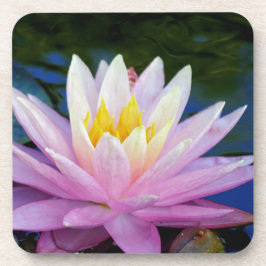 Weichrosa Wasserlilie Getränkeuntersetzer