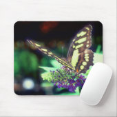 Weichschmetterling auf Blume Mousepad (Mit Mouse)