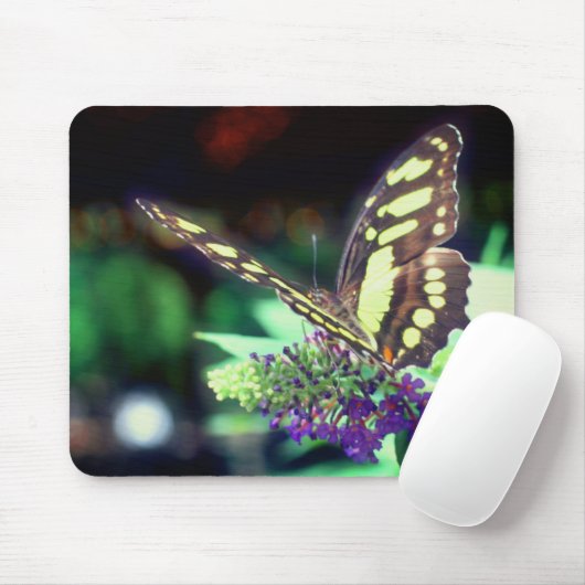 Weichschmetterling auf Blume Mousepad (Mit Mouse)