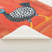 Weichteil, Gepunktete Guinea Sherpadecke (3/4)