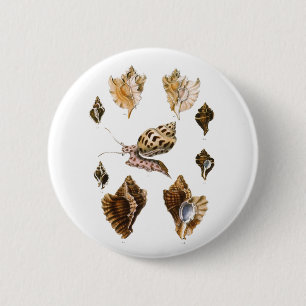 Weichtiere und Schnecken, Vintage Meereslebewesen Button