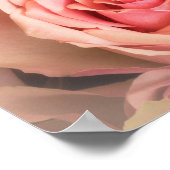 Weichzeichnen der Rose Poster (Ecke)